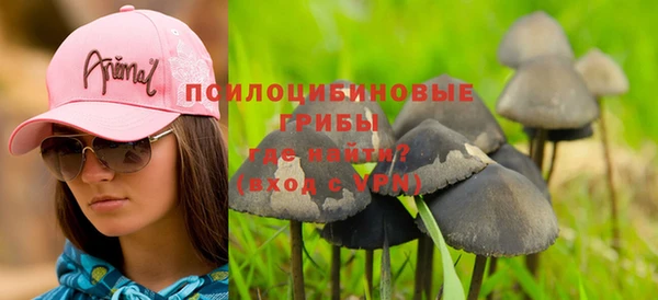 PSILOCYBIN Беломорск