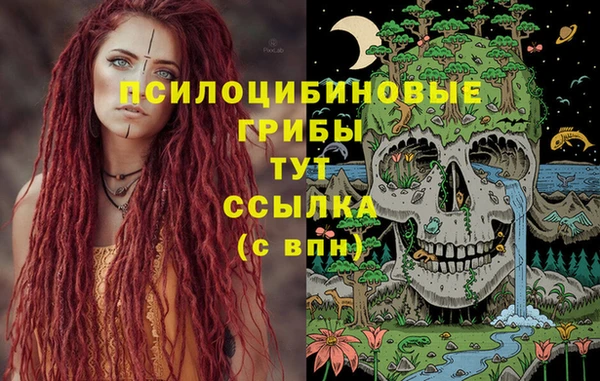 спиды Белокуриха