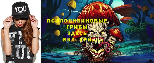 PSILOCYBIN Беломорск