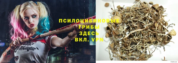 мяу мяу мука Белоозёрский