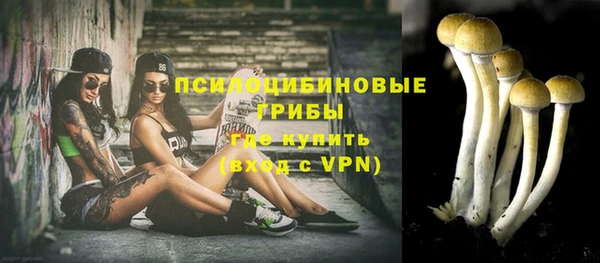 винт Баксан